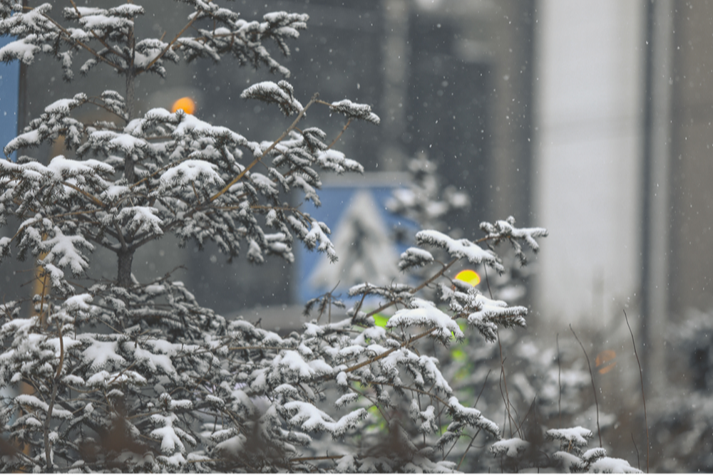 Улаанбаатарт өдөртөө 16 хэм хүйтэн